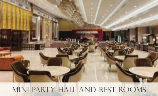 Mini Party Hall